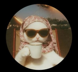 kanatlıpedinucusrehberi profil fotoğrafı