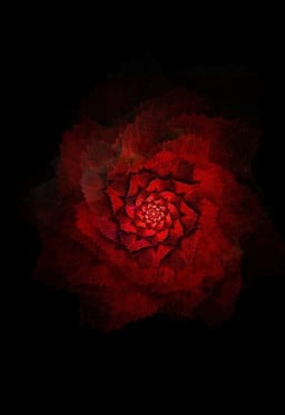 vişneizm profil fotoğrafı