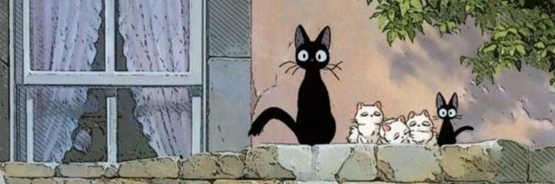 nurezgi kapak fotoğrafı