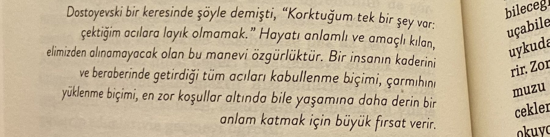 ihtimaller perisi kapak fotoğrafı