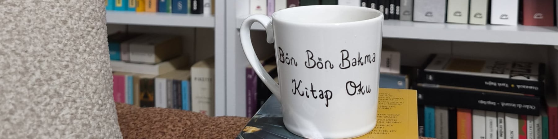 emine pir zola kapak fotoğrafı