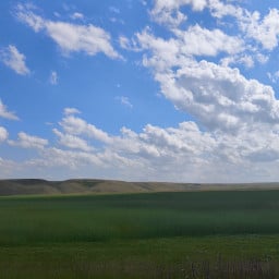 emine pir zola profil fotoğrafı