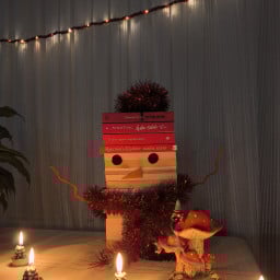 emine pir zola profil fotoğrafı