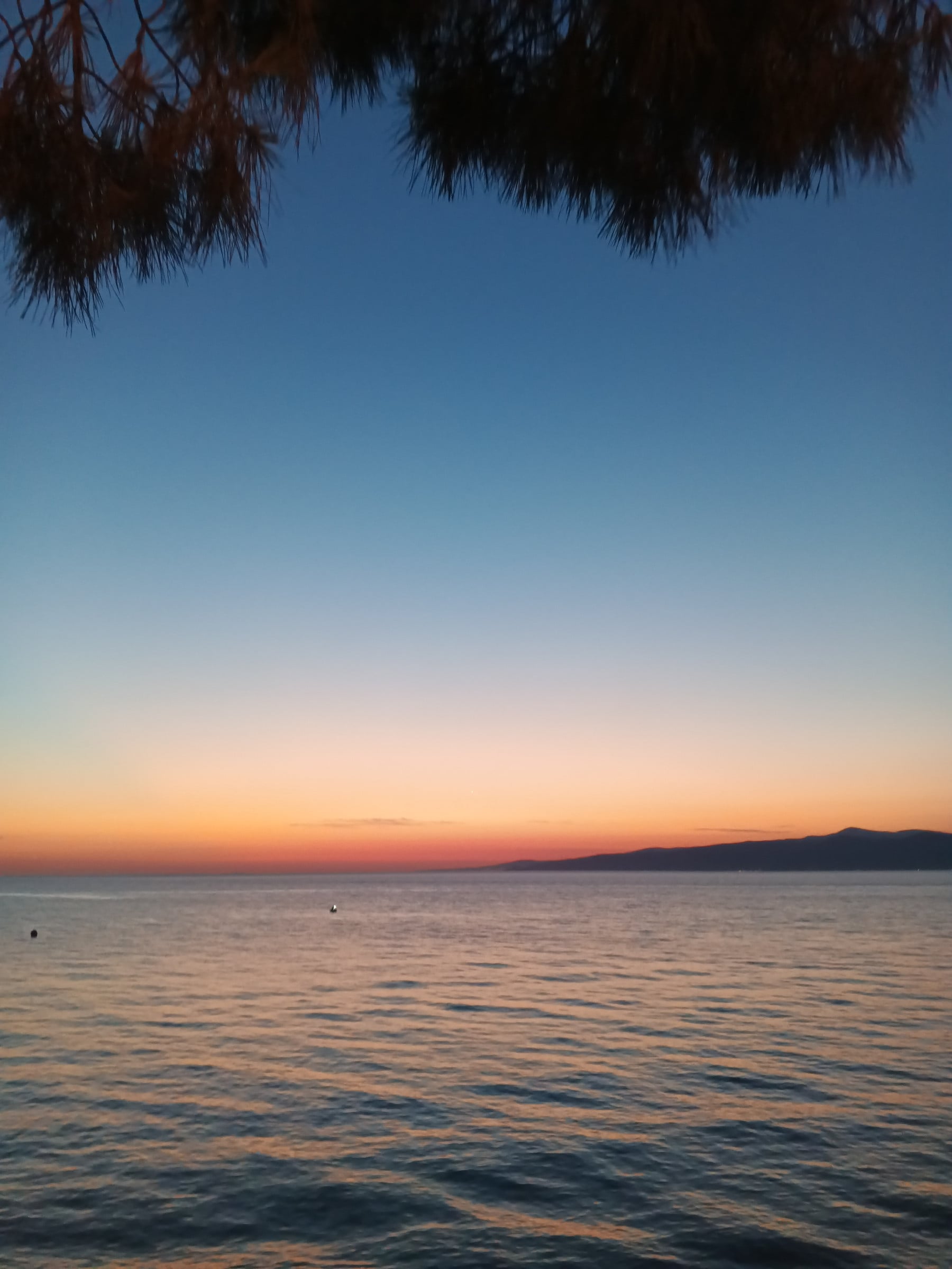 hodrey kapak fotoğrafı