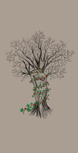 aşeka profil fotoğrafı