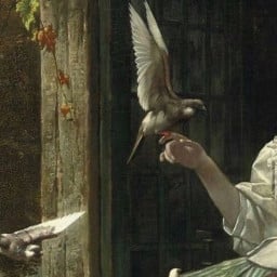 abooklover profil fotoğrafı