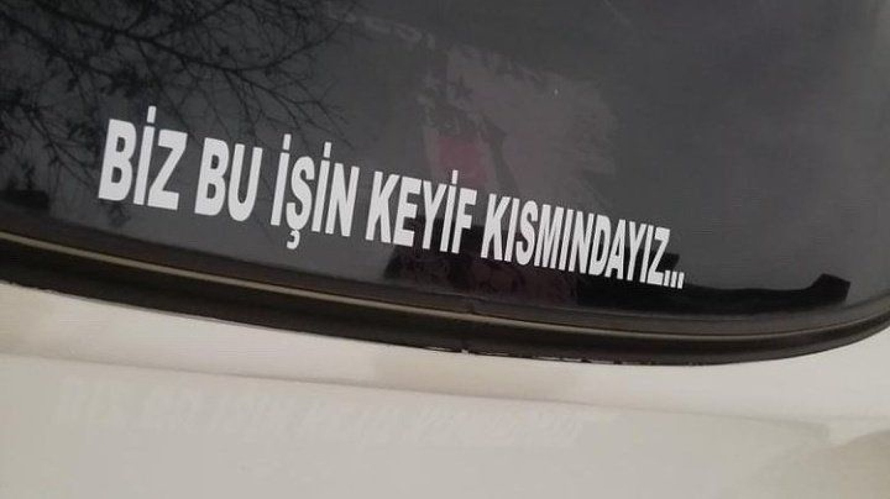 sereinfortis kapak fotoğrafı