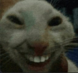 emekliraskolnikov profil fotoğrafı