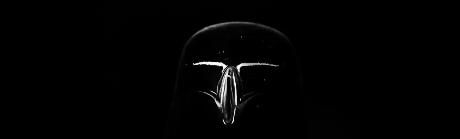 moraycicegi kapak fotoğrafı