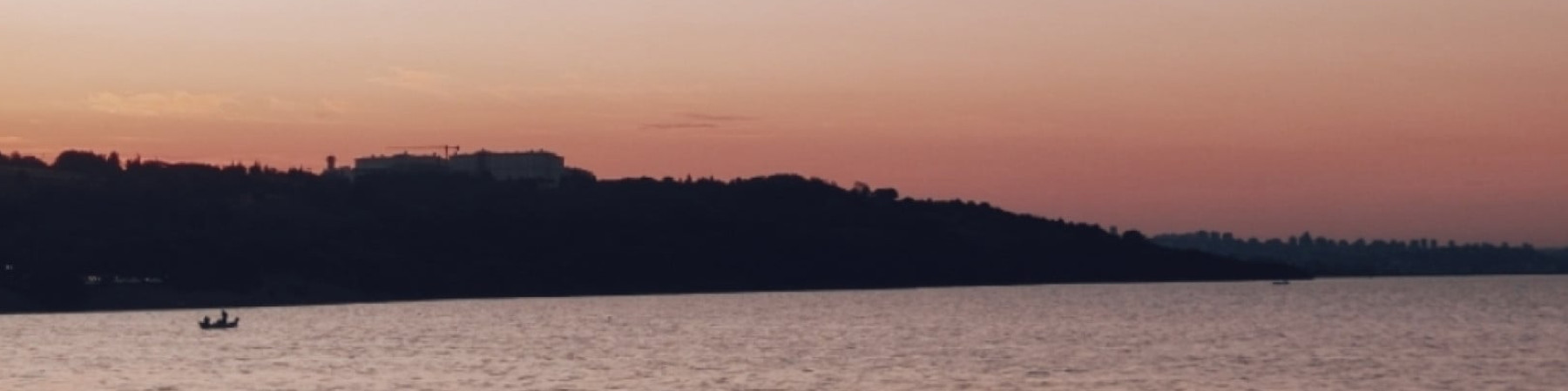 milkşeyh kapak fotoğrafı