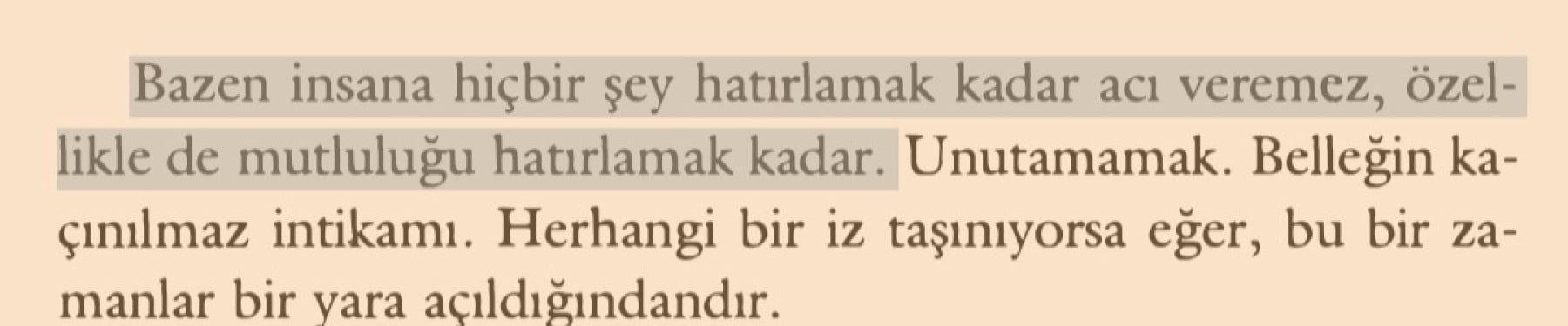 son singapur vapuru kapak fotoğrafı