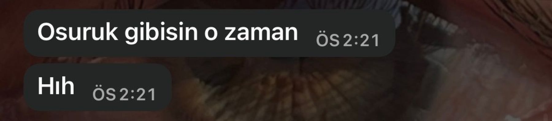 elzem kapak fotoğrafı