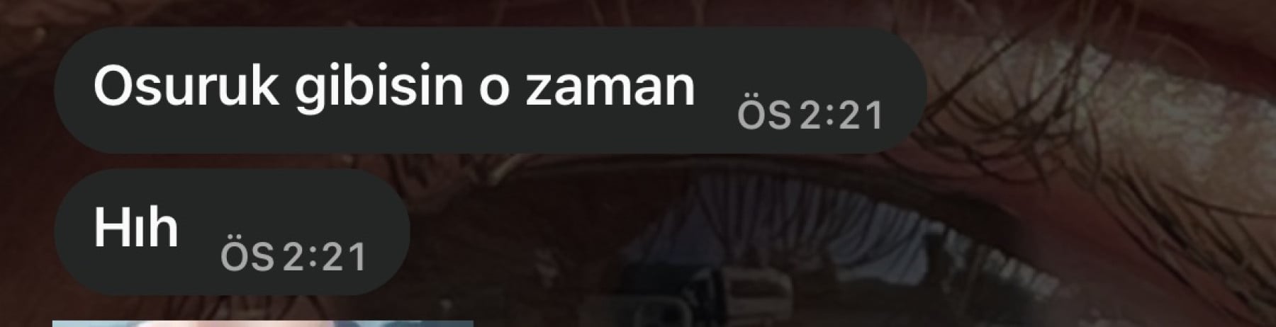 elzem kapak fotoğrafı
