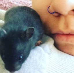 scaremongering profil fotoğrafı