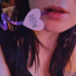 uykusuz kedi profil fotoğrafı