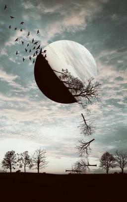 cogitoergosum profil fotoğrafı