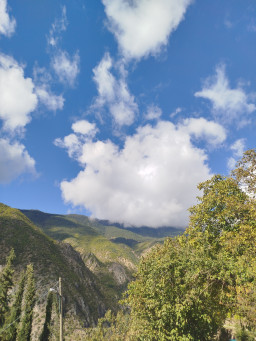 denediğim nicki aldım profil fotoğrafı