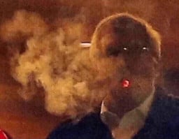 kubelikin öğrencisi profil fotoğrafı