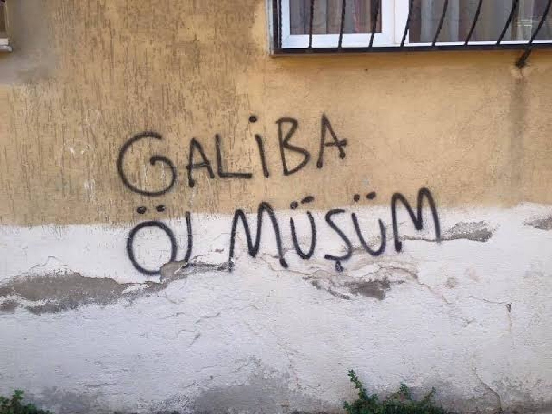 erkeksi bayan buse kapak fotoğrafı