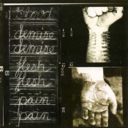 persac profil fotoğrafı