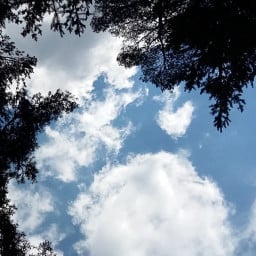 mariyya profil fotoğrafı