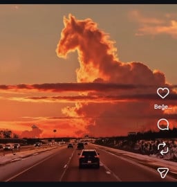 diko profil fotoğrafı