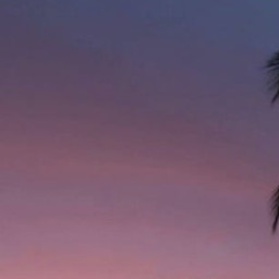 tolga profil fotoğrafı