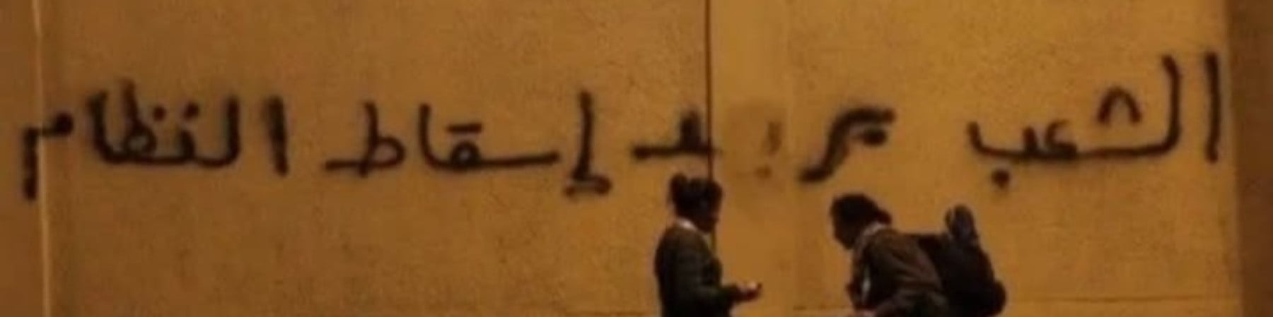 brokoli ve tosbağa kapak fotoğrafı