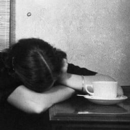 brokoli ve tosbağa profil fotoğrafı