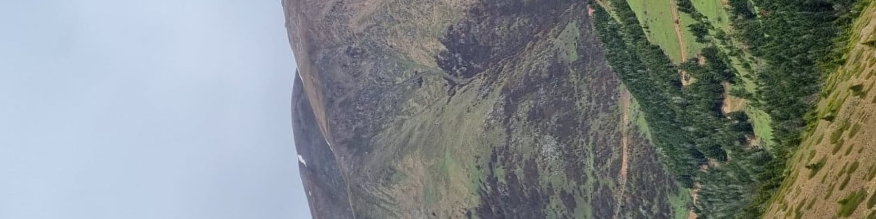 bay panda kapak fotoğrafı