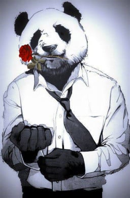 bay panda profil fotoğrafı