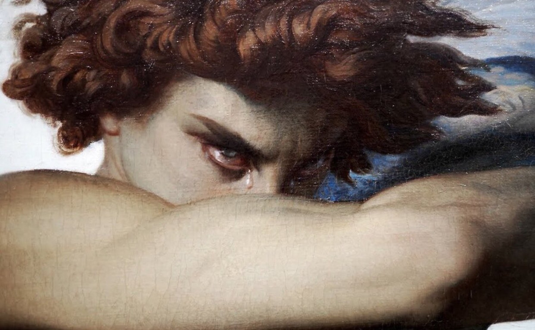 homohabilis kapak fotoğrafı