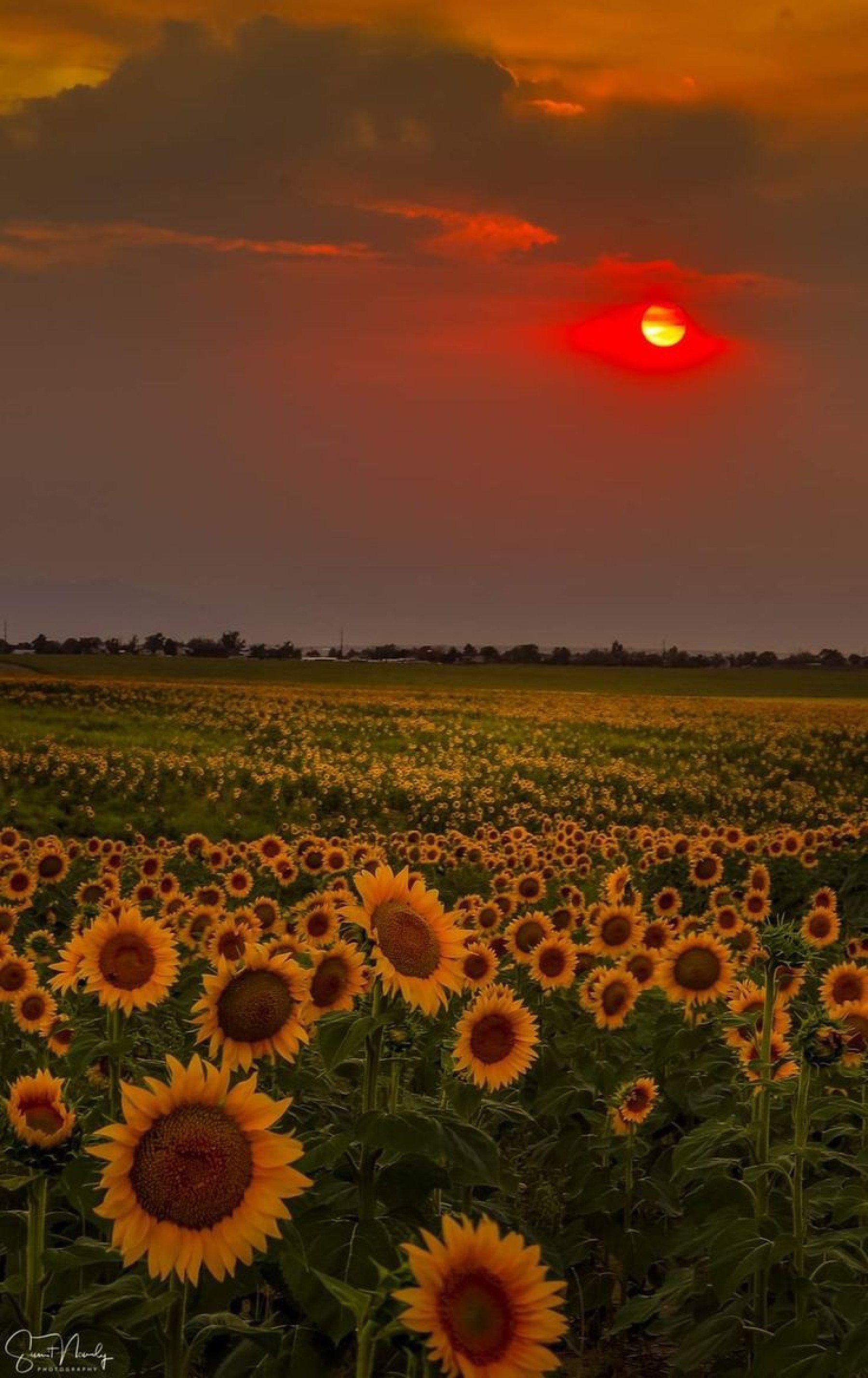 beyza_ceylan_0 kapak fotoğrafı