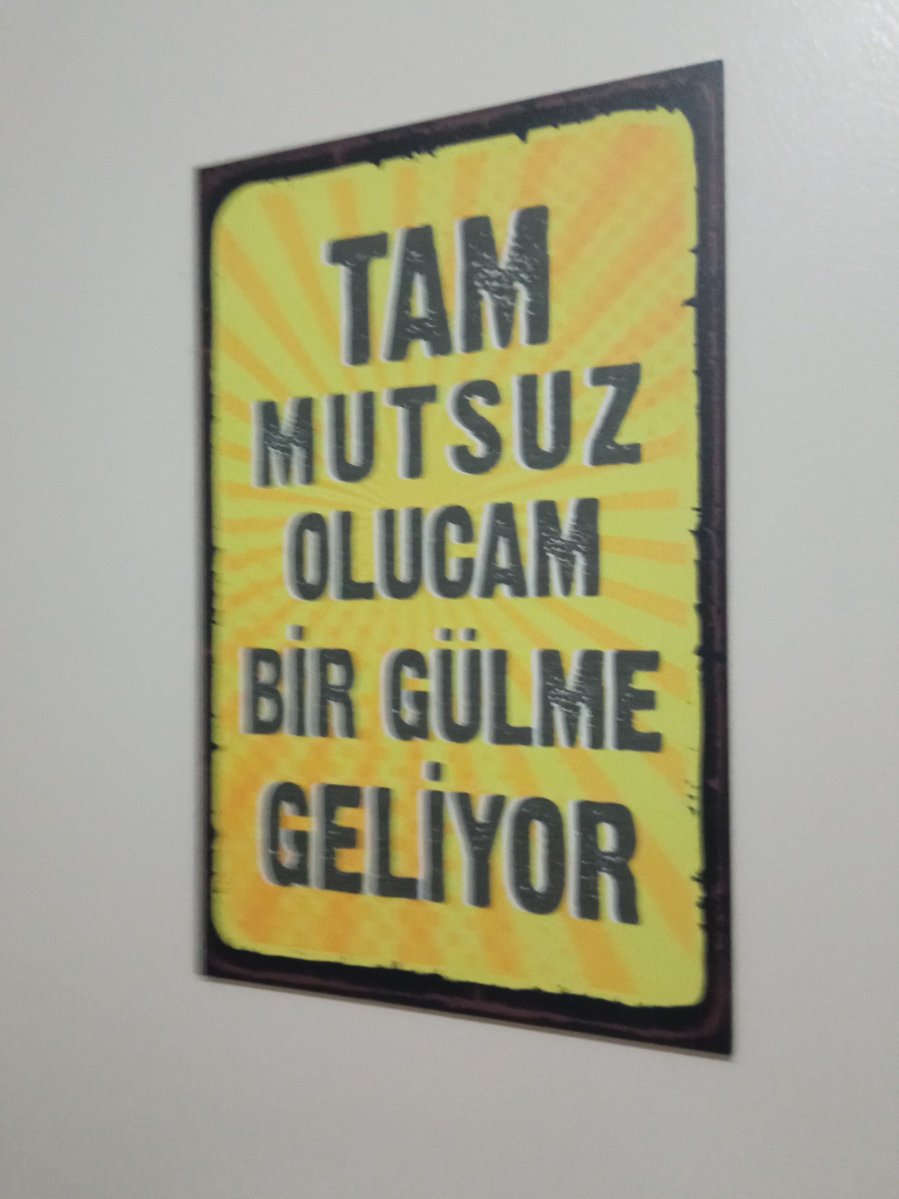 madamnazo kapak fotoğrafı