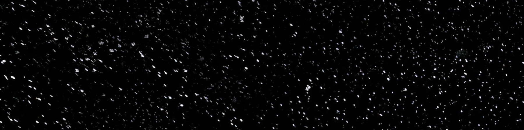 sedai kapak fotoğrafı