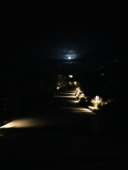 mizgin profil fotoğrafı