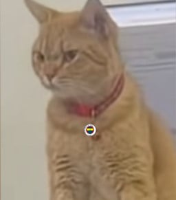 mizgin profil fotoğrafı