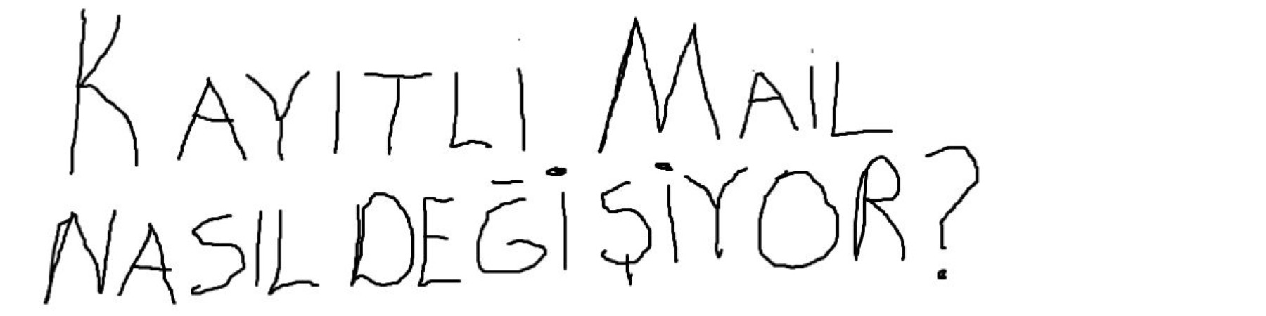 toybilge kapak fotoğrafı