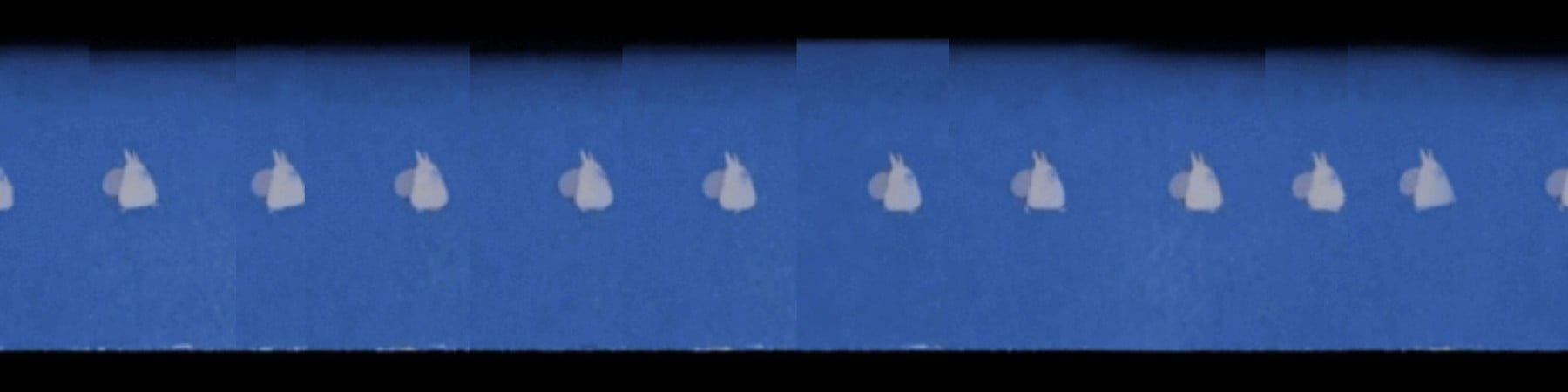salon beyefendisi kapak fotoğrafı