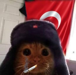 mysafu profil fotoğrafı