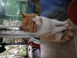 systemfailed profil fotoğrafı