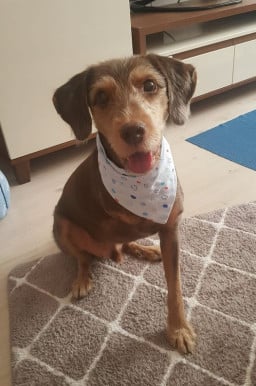 systemfailed profil fotoğrafı