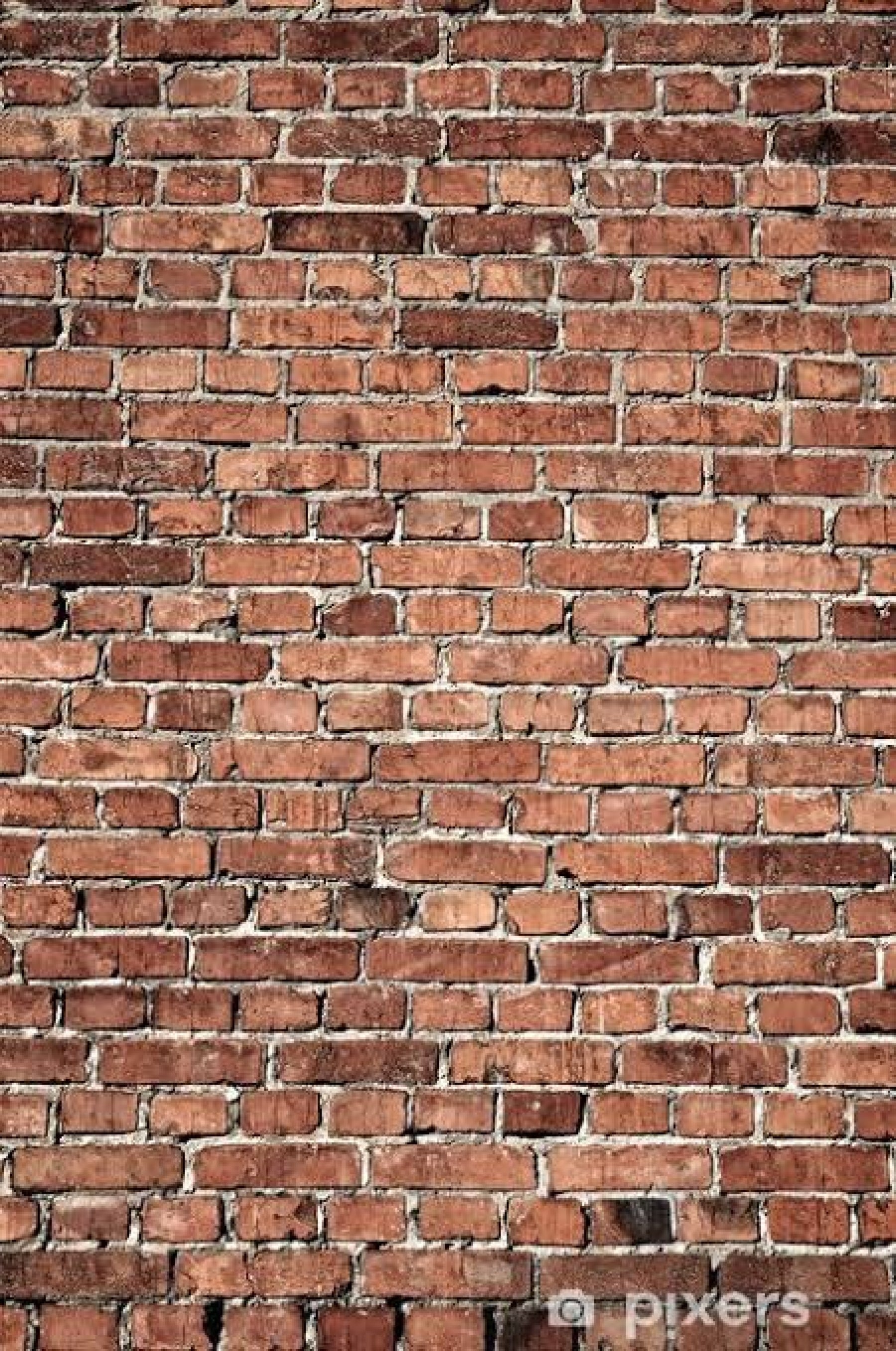 sanat kumara kapak fotoğrafı