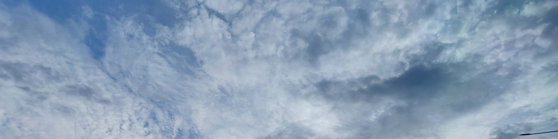 bahtsız bovary kapak fotoğrafı