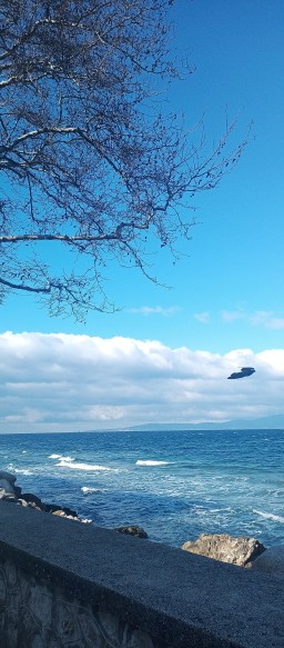 psikologinsan profil fotoğrafı