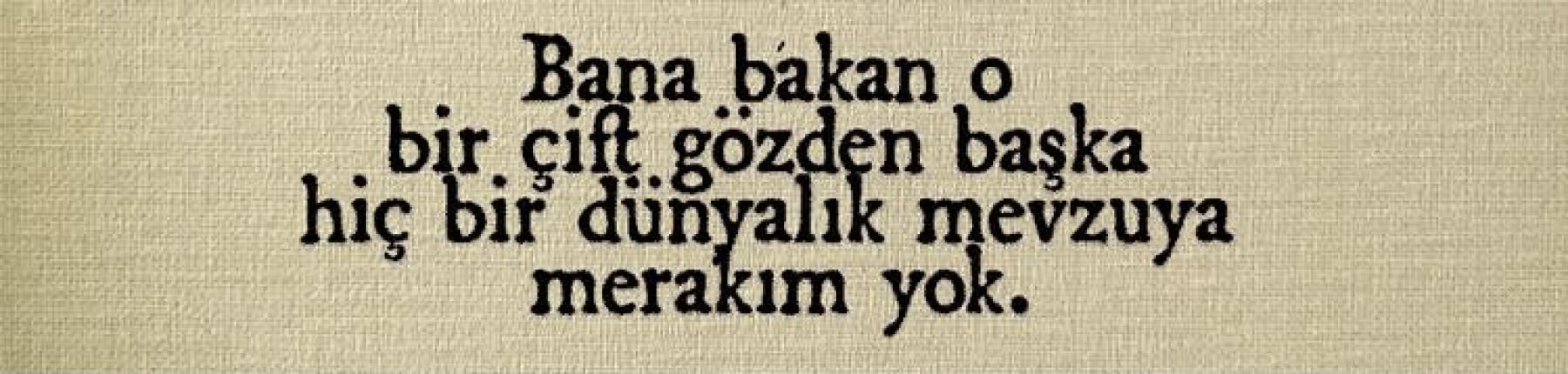 kaktus ve papatya kapak fotoğrafı