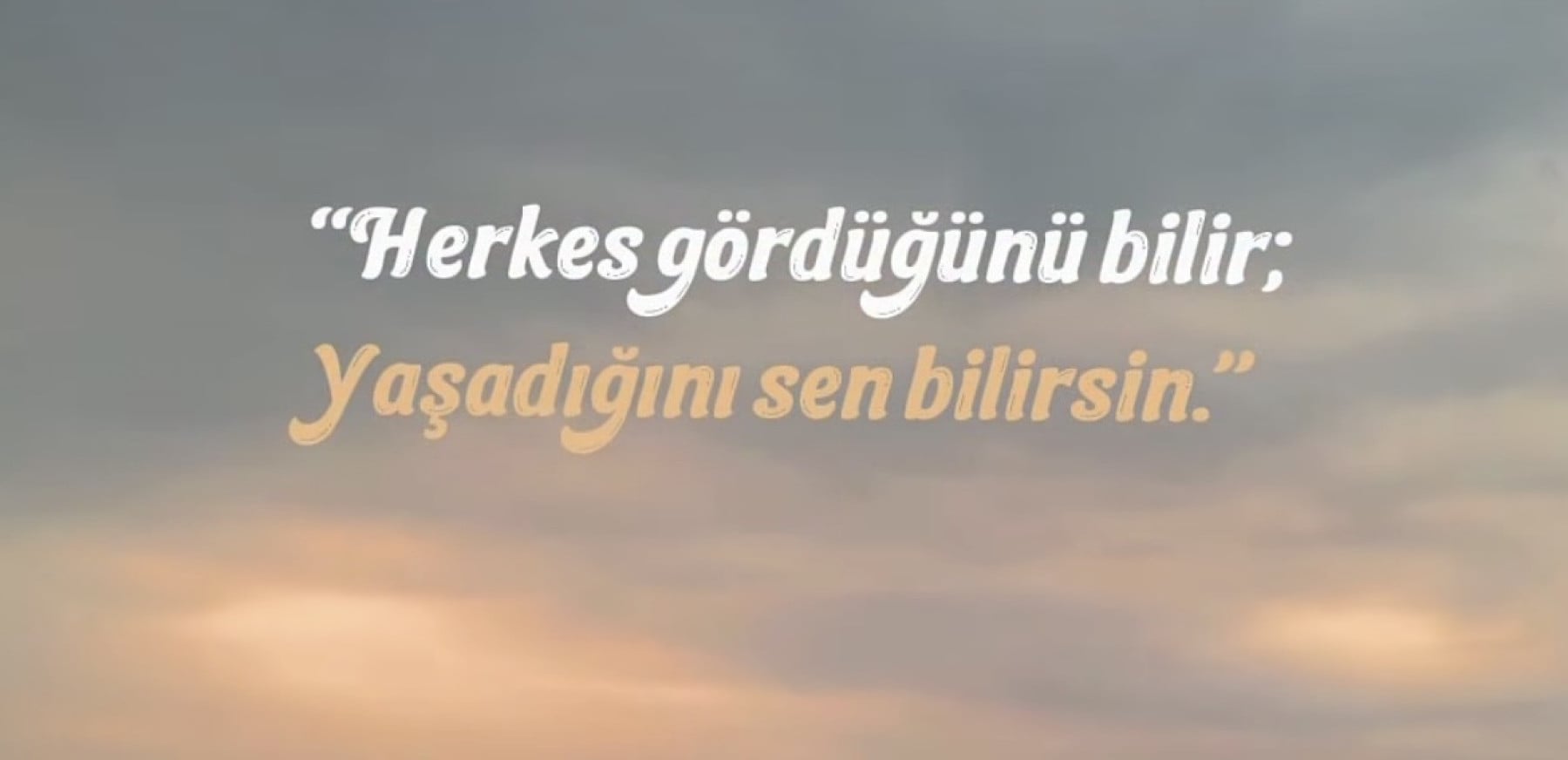 kaktus ve papatya kapak fotoğrafı