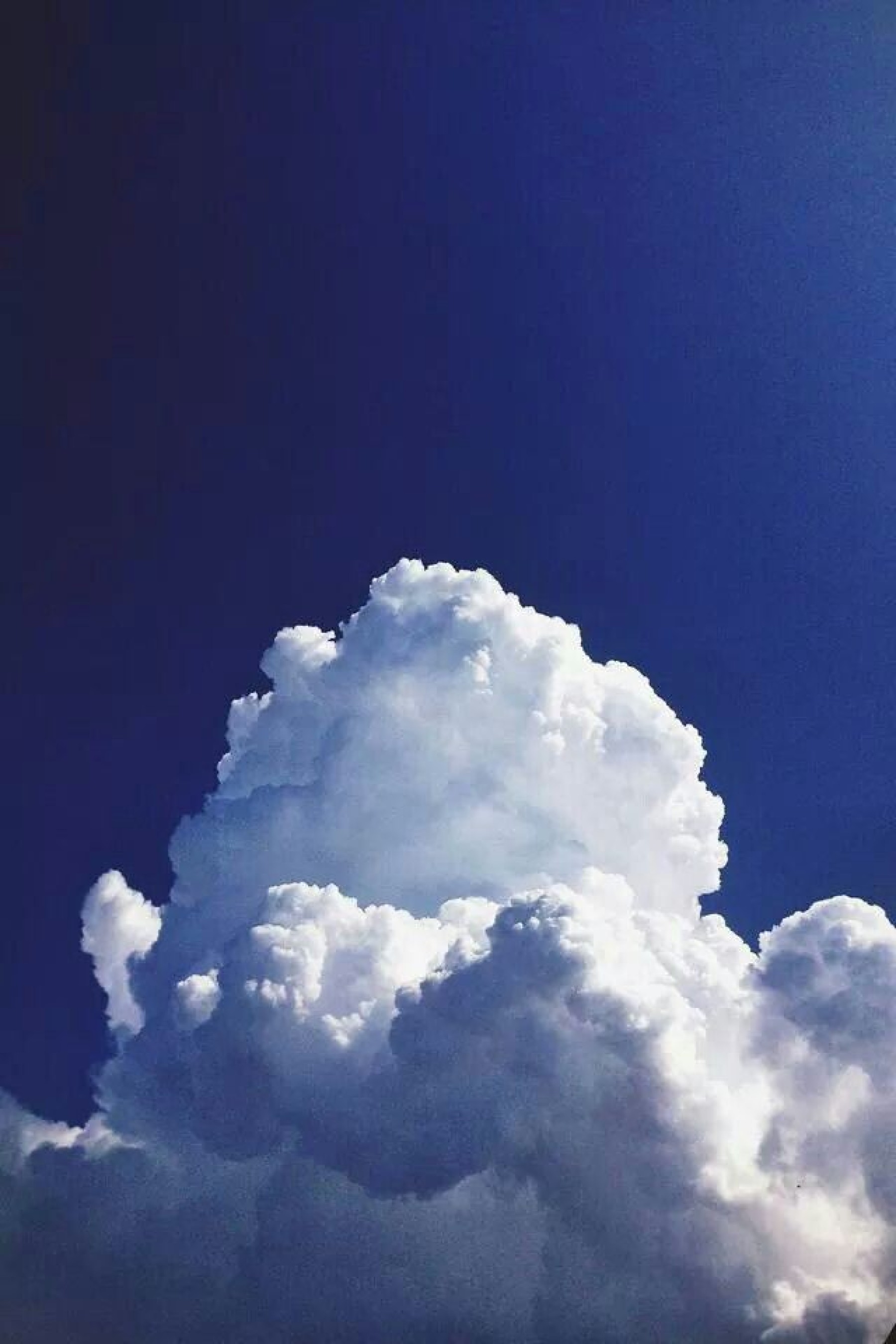 altin kapak fotoğrafı