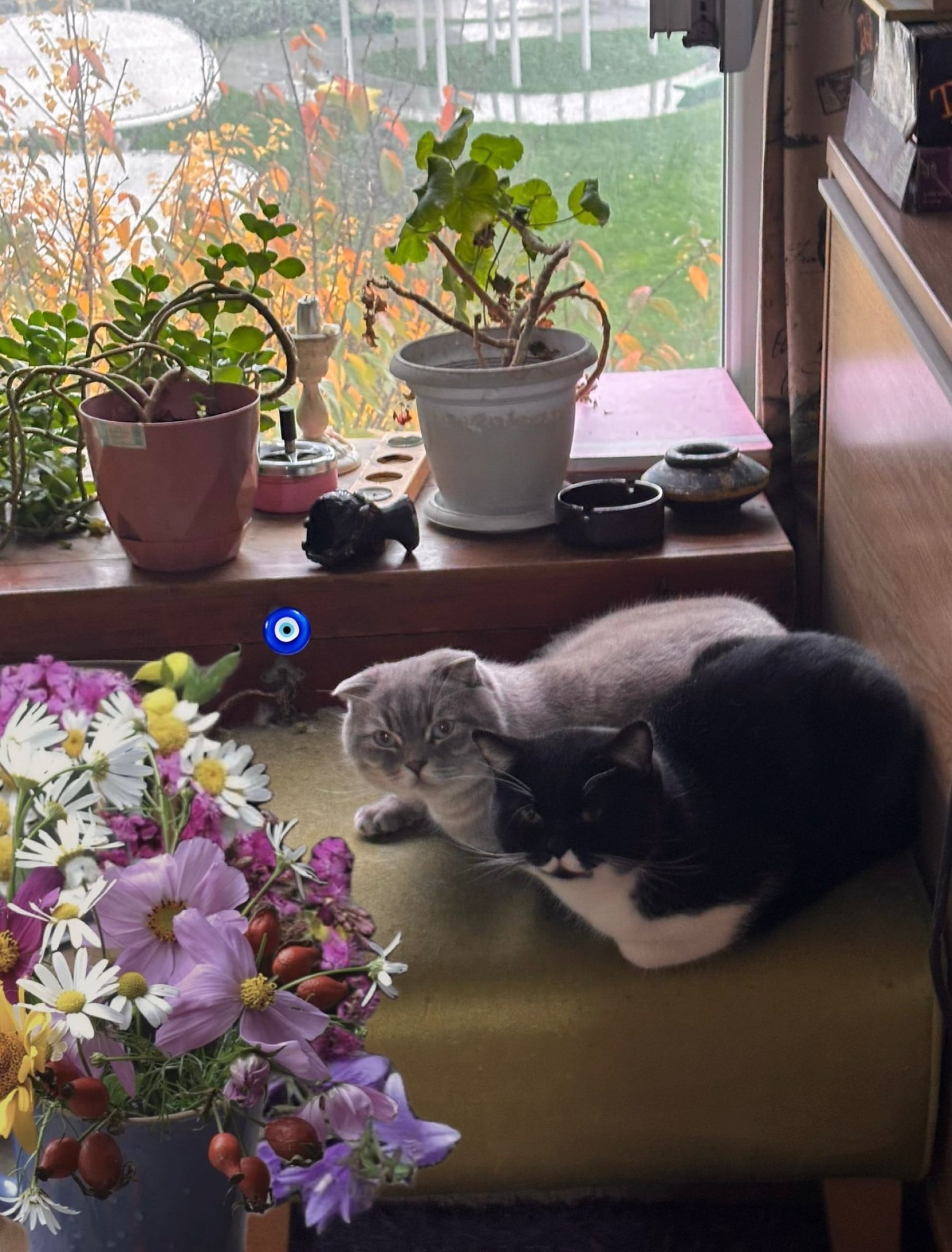 gulmekicinyaratilmis kapak fotoğrafı