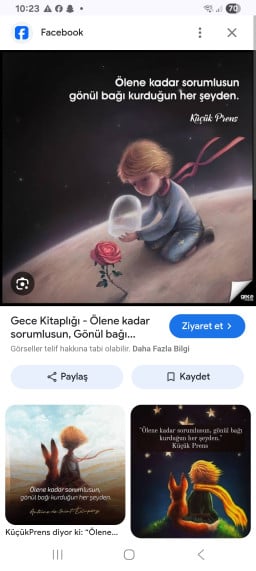 gulmekicinyaratilmis profil fotoğrafı